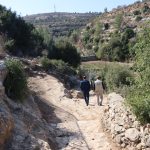 AICS, UNESCO, FAO Sustainable Agriculture Project in the villages of Hussan and Battir