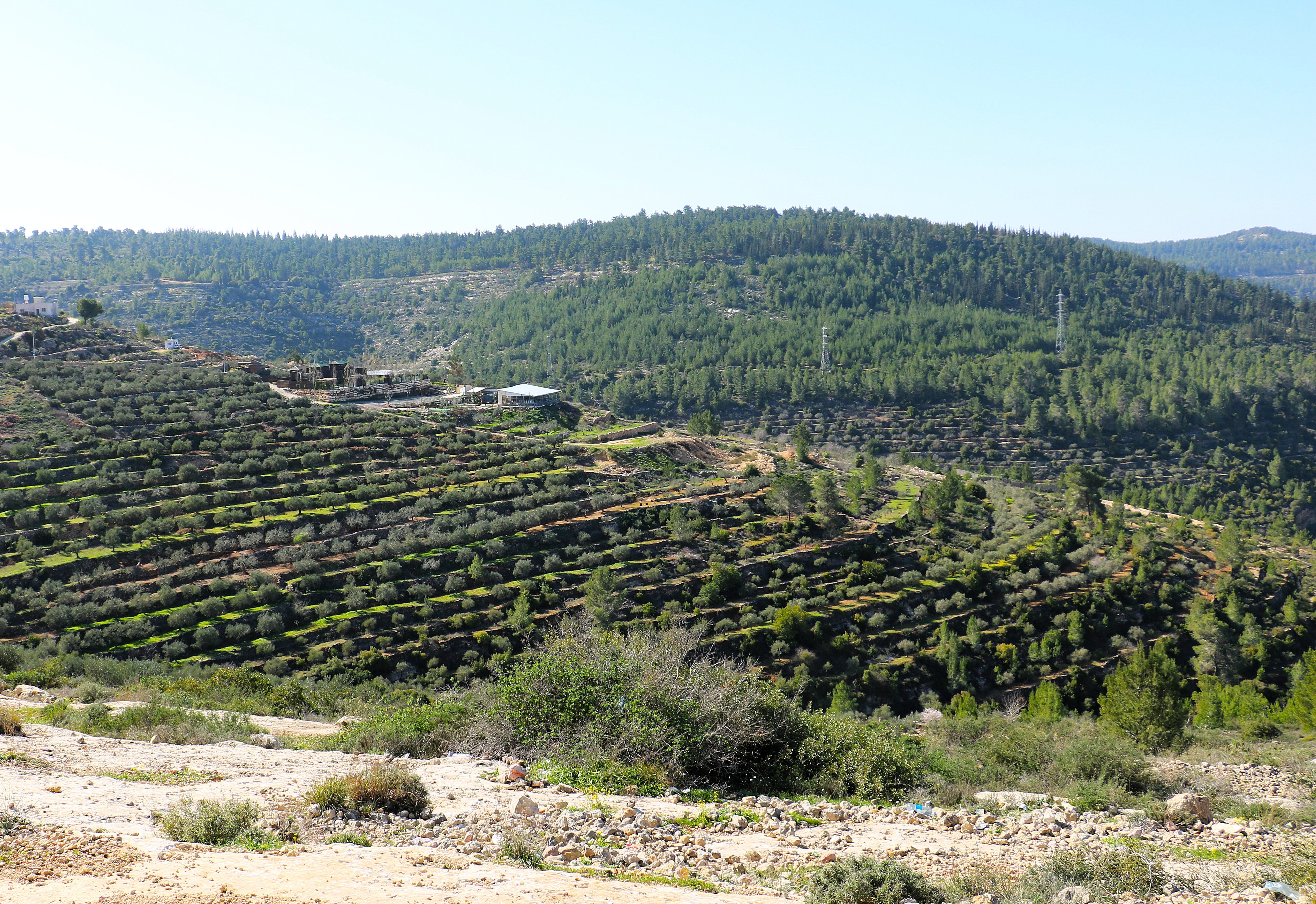 Sviluppo Rurale
