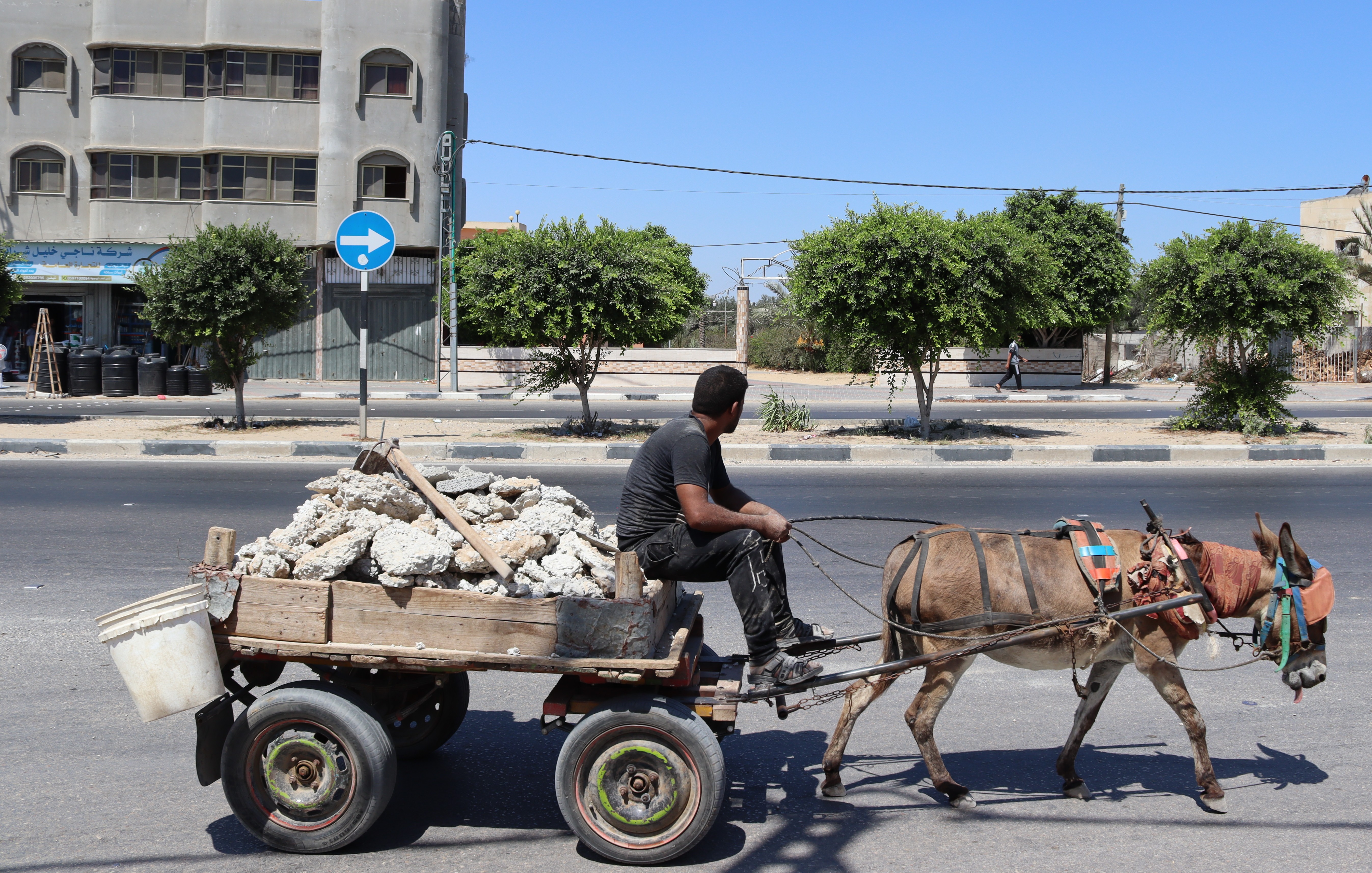 Dichiarazione congiunta su Gaza e i Territori Palestinesi Occupati