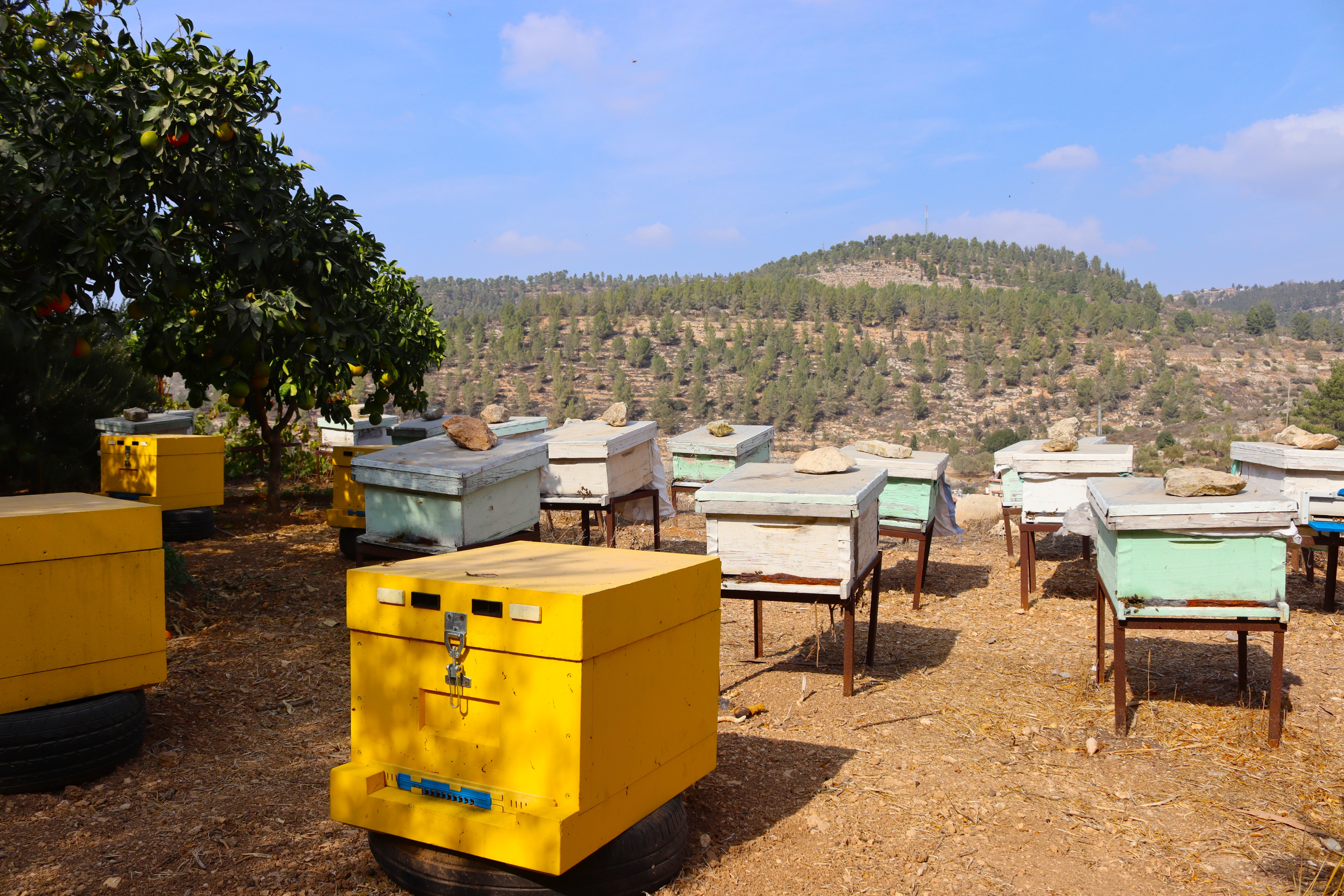 Visita di monitoraggio a Battir nell’ambito dell’iniziativa COOPER-IDEA