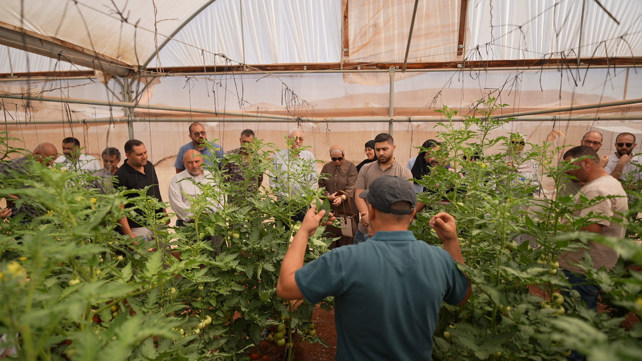 Visita sul campo a Tamoun per promuovere lo scambio di buone pratiche tra cooperative agricole